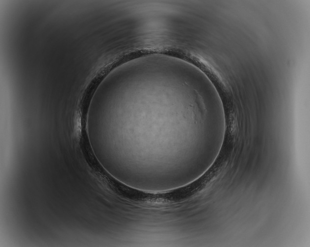 X0000093470685200710121425