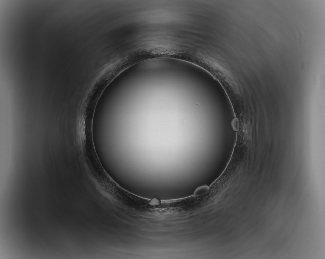 X0000093470686200710121425