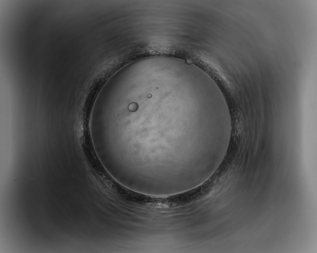 X0000093470687200710121425
