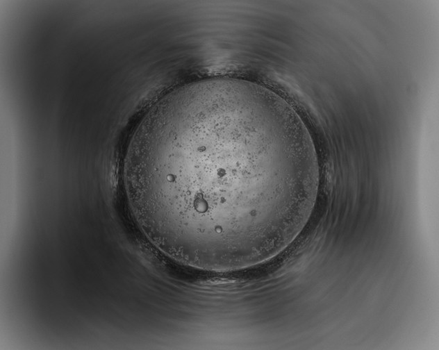 X0000093470691200710121425