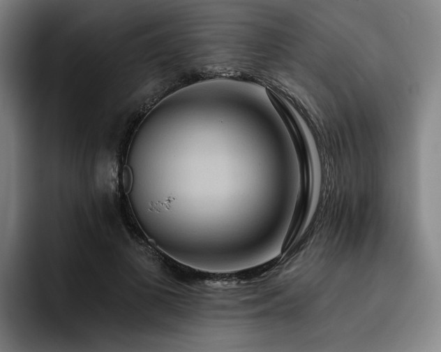 X0000093470693200710121425