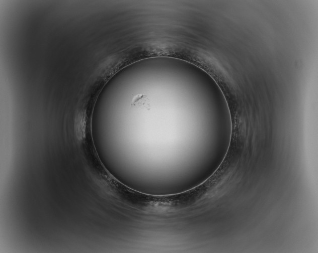 X0000093470694200710121425