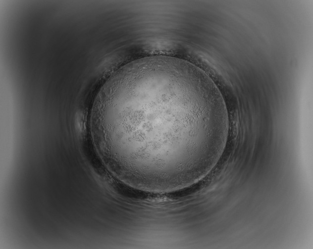 X0000093470695200710121425