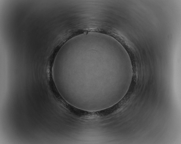 X0000093470696200710121425