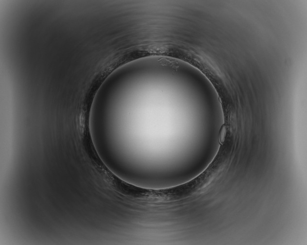 X0000093470697200710121425