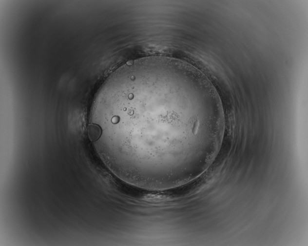 X0000093470699200710121425