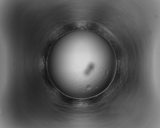 X0000093470702200710121425