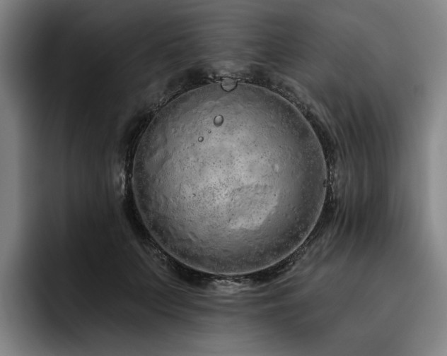 X0000093470703200710121425