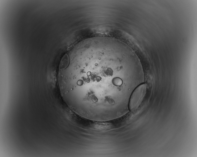 X0000093470707200710121425