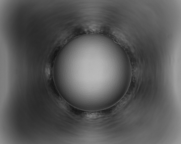 X0000093470709200710121425