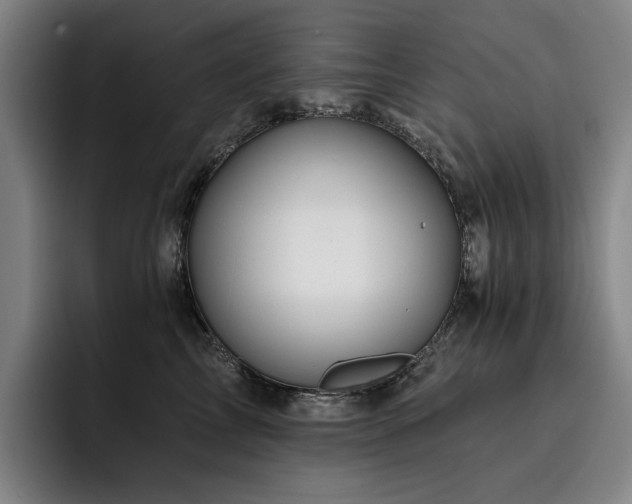 X0000093470713200710121425