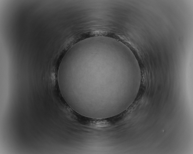 X0000093470716200710121425