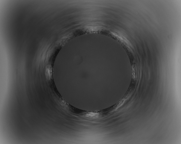 X0000093470718200710121425