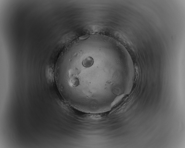 X0000093470719200710121425