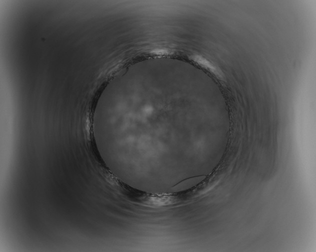 X0000093470720200710121424
