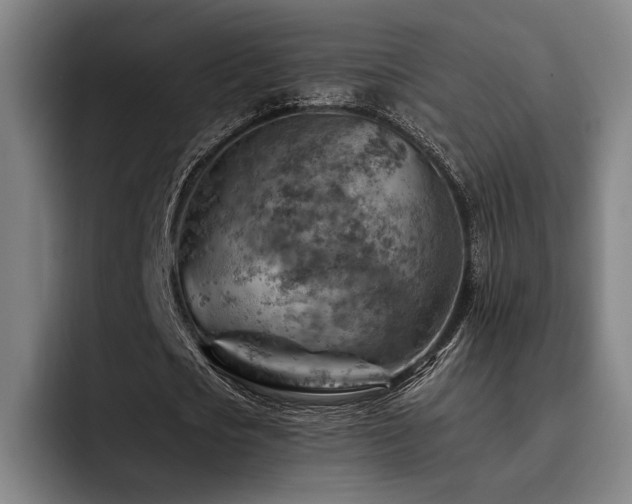 X0000093470721200710121424