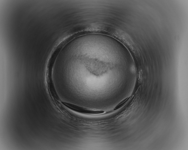 X0000093470724200710121424
