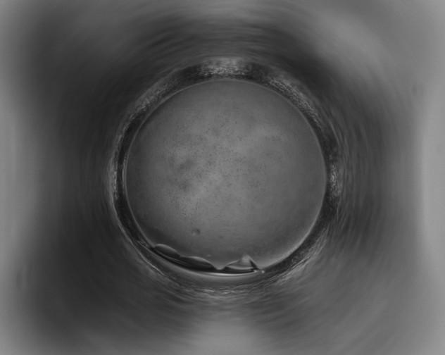 X0000093470725200710121424