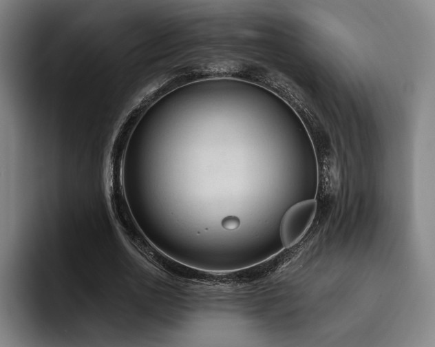 X0000093470726200710121424