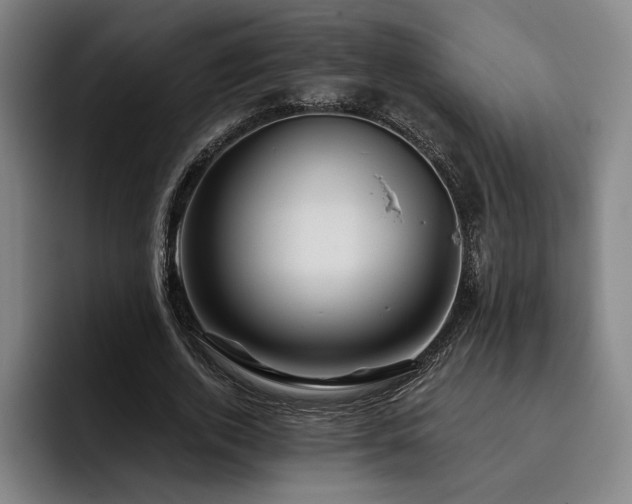 X0000093470728200710121424