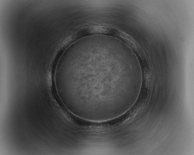 X0000093470729200710121424