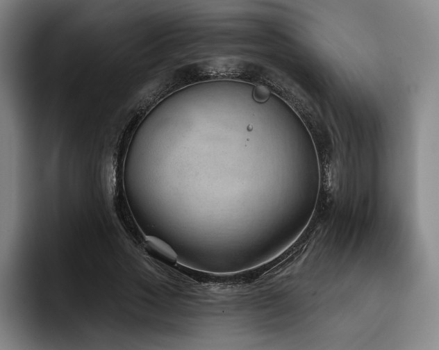 X0000093470733200710121424
