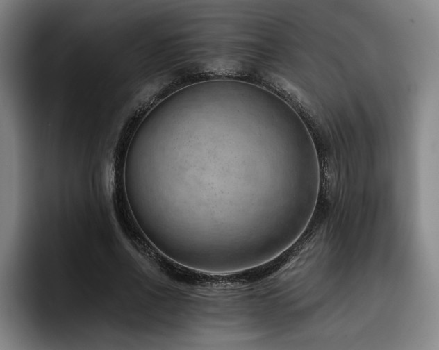 X0000093470734200710121424