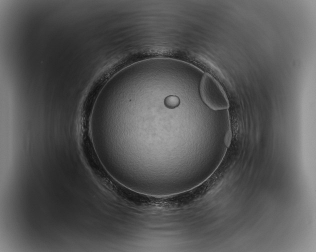 X0000093470736200710121424