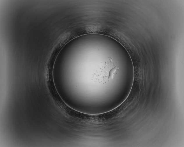 X0000093470738200710121424