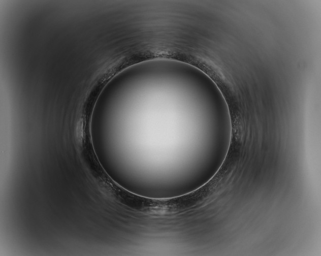 X0000093470740200710121424