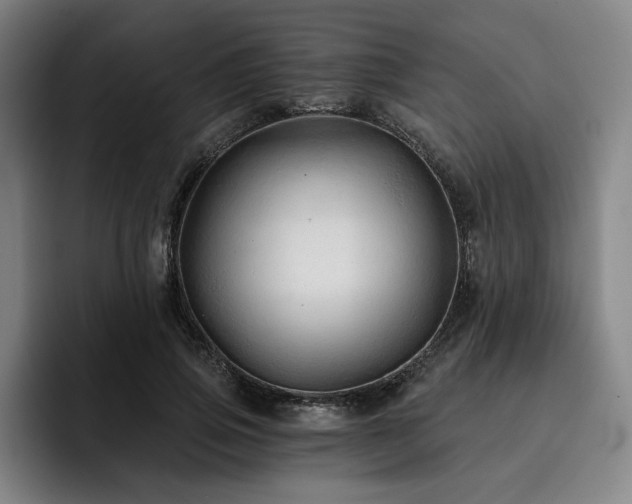X0000093470741200710121424