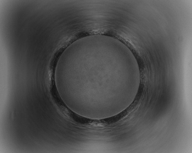 X0000093470742200710121424