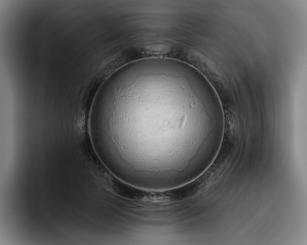 X0000093470745200710121424