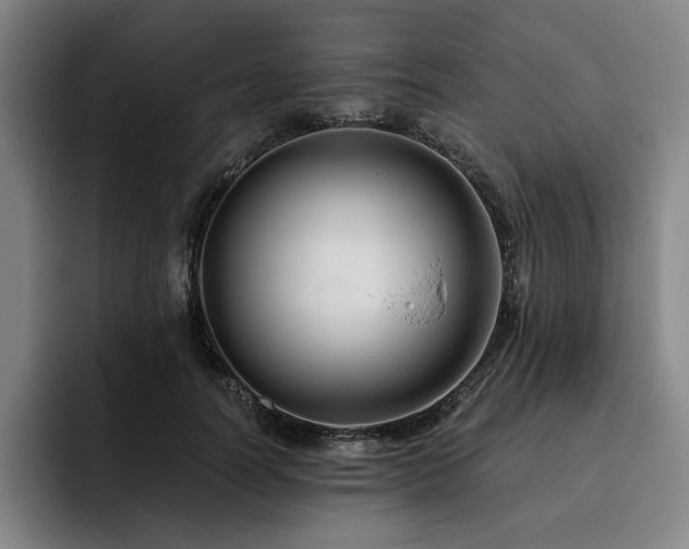 X0000093470746200710121424