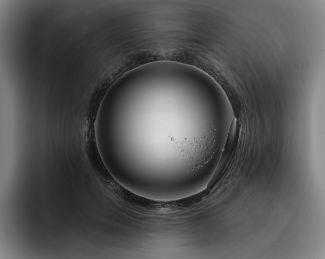 X0000093470750200710121424