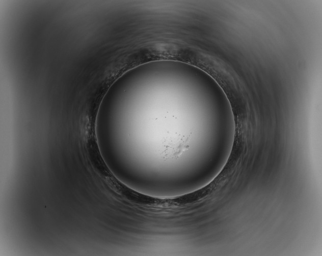 X0000093470752200710121424