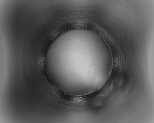 X0000093470753200710121424