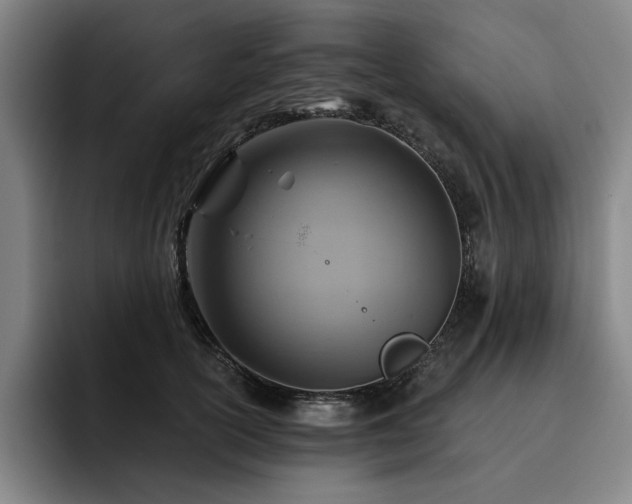 X0000093470754200710121424
