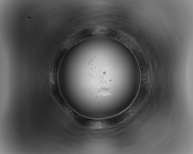 X0000093470755200710121424
