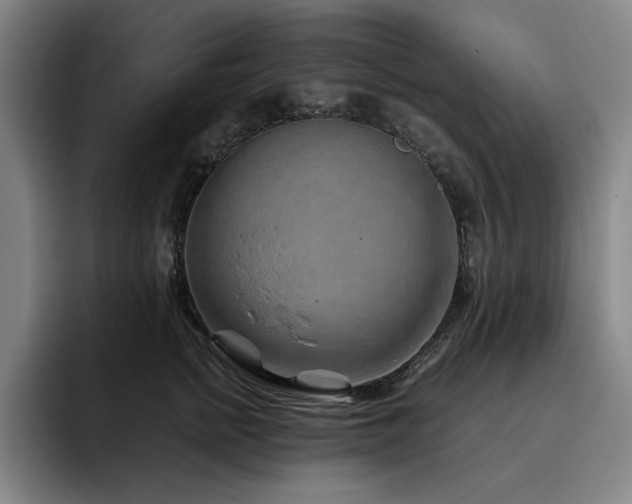 X0000093470758200710121424