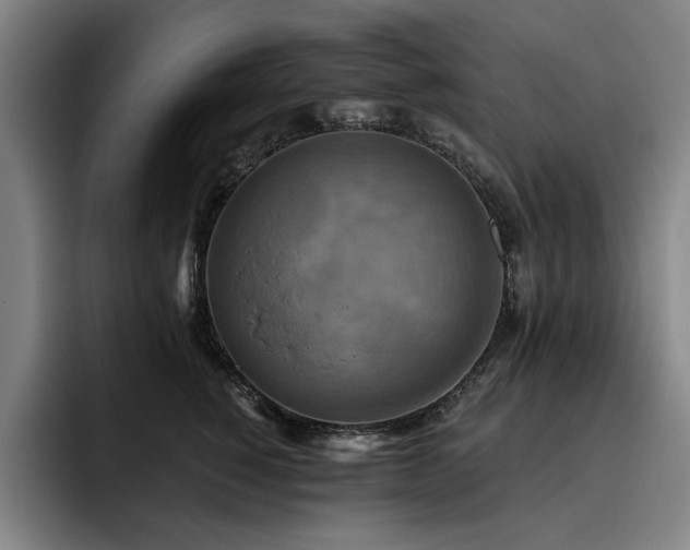 X0000093470760200710121424