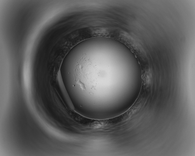X0000093470764200710121424