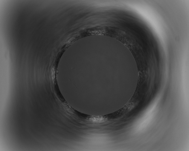 X0000093470767200710121424