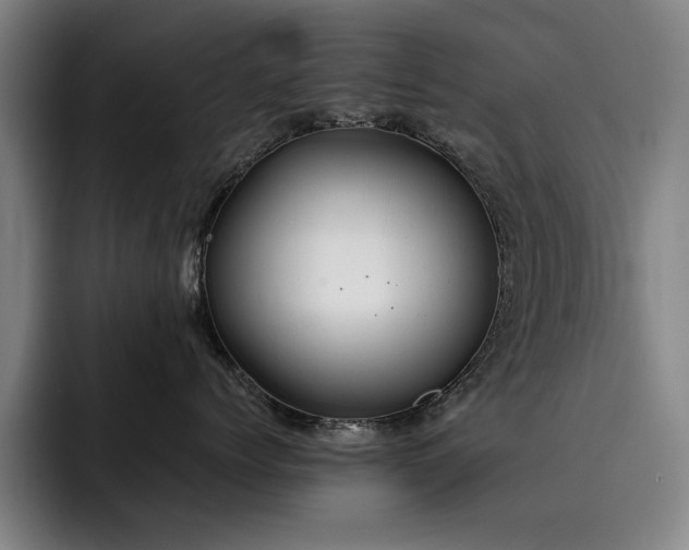 X0000093470768200710121424
