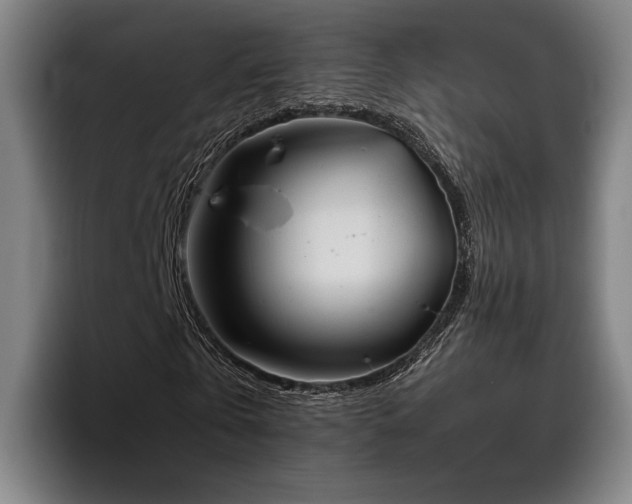 X0000093470769200710121424