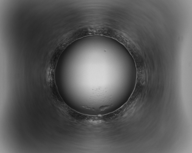 X0000093470770200710121424