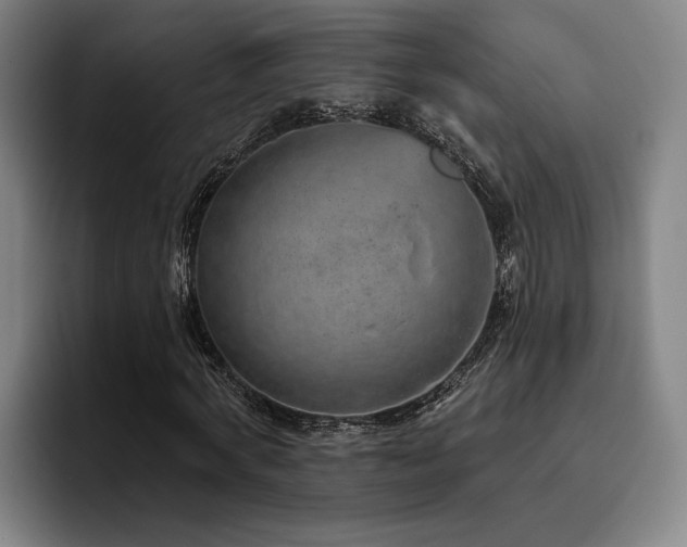 X0000093470772200710121424