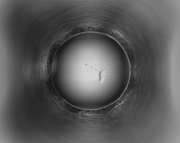 X0000093470774200710121424