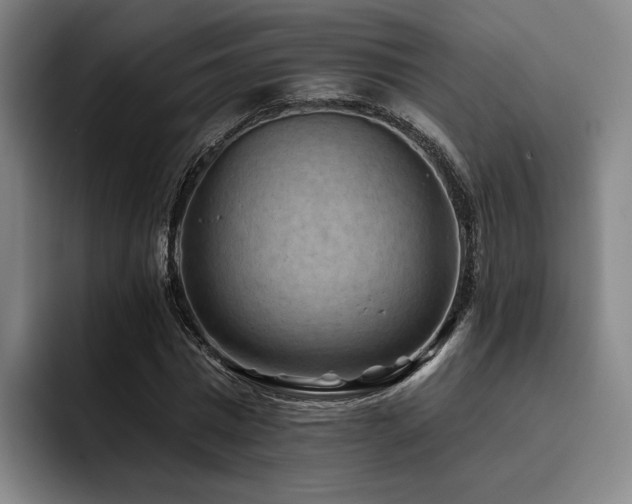 X0000093470777200710121424