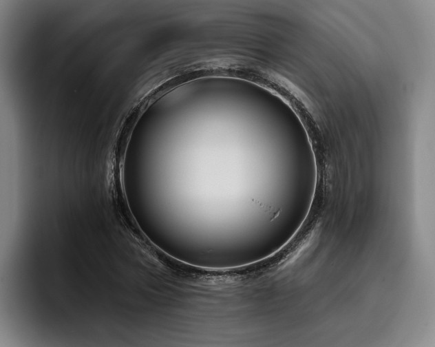 X0000093470778200710121424